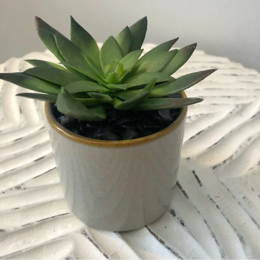 Mini Potted Faux Succulent - Small Artificial Succulent in Ceramic Pot